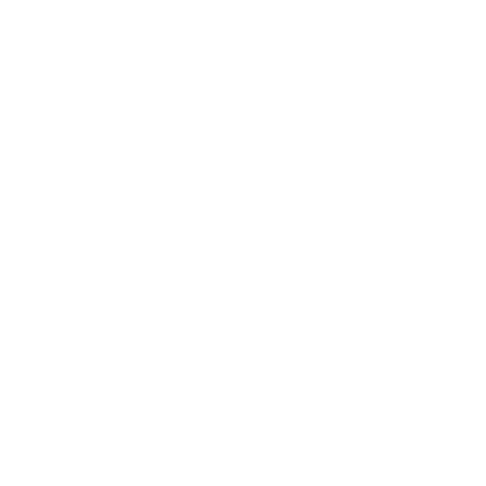 911 At Ease International Logo